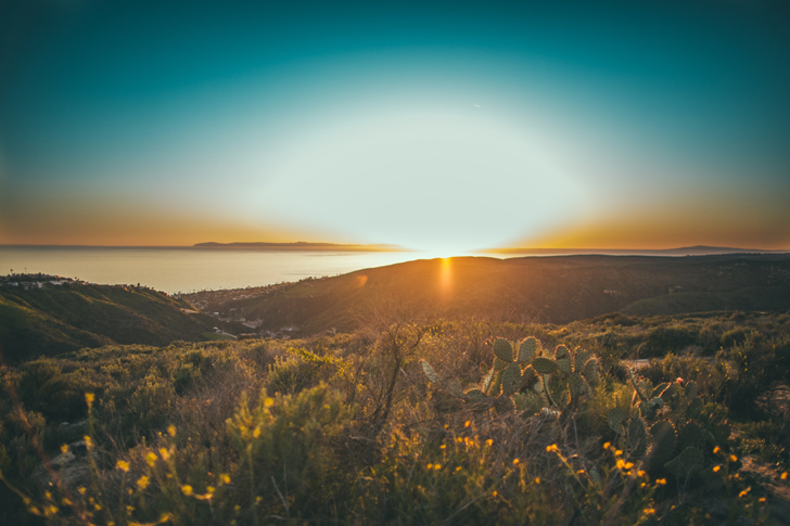 laguna beach top of the world